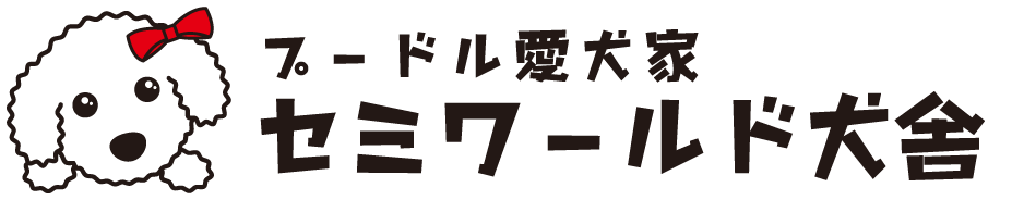 プードル専門犬舎 セミワールド